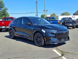 2025 Ford Mustang Mach-E for sale in North Brunswick NJ