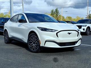 2025 Ford Mustang Mach-E for sale in Muskegon MI