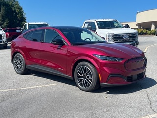 2025 Ford Mustang Mach-E for sale in Canton NC