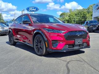 2025 Ford Mustang Mach-E for sale in Muskegon MI