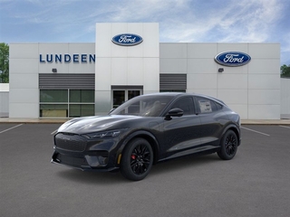 2025 Ford Mustang Mach-E for sale in Annandale MN