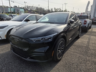 2026 Ford Mustang Mach-E for sale in Knoxville TN