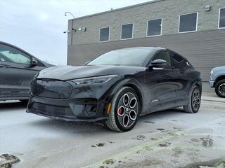 2021 Ford Mustang Mach-E for sale in Farmington Hills MI