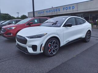 2023 Ford Mustang Mach-E for sale in Martinsburg WV