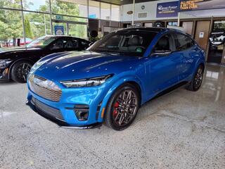 2025 Ford Mustang Mach-E for sale in Abingdon VA