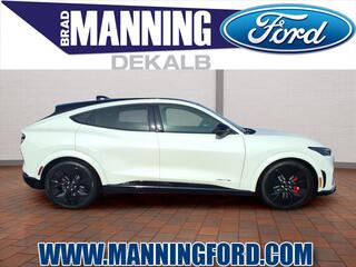 2025 Ford Mustang Mach-E for sale in Des Plaines IL