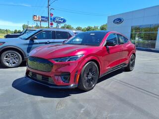 2025 Ford Mustang Mach-E for sale in Cortland OH