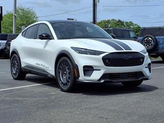 2025 Ford Mustang Mach-E for sale in Muskegon MI