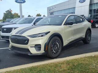 2025 Ford Mustang Mach-E for sale in Dundee MI