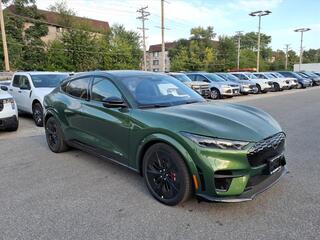 2025 Ford Mustang Mach-E for sale in Chicago IL