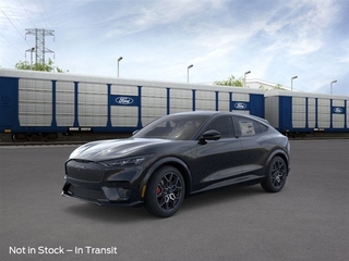 2025 Ford Mustang Mach-E for sale in Frankfort IL