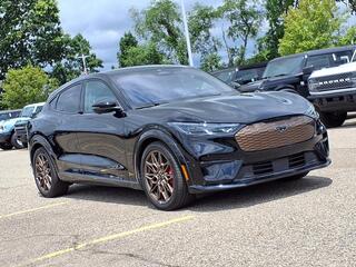 2024 Ford Mustang Mach-E for sale in New Hudson MI