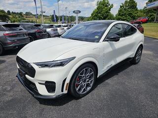 2024 Ford Mustang Mach-E for sale in Abingdon VA