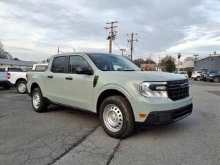 2024 Ford Maverick for sale in Martinsburg WV