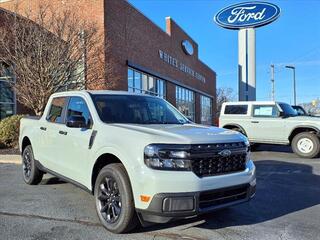 2024 Ford Maverick for sale in Urbana OH