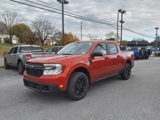 2024 Ford Maverick for sale in Martinsburg WV