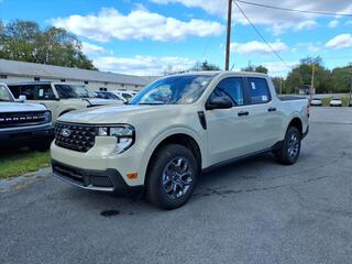 2025 Ford Maverick for sale in Martinsburg WV