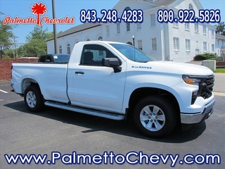 2023 Chevrolet Silverado 1500 for sale in Winchester VA