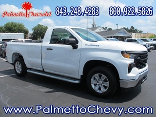 2023 Chevrolet Silverado 1500 for sale in Winchester VA