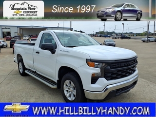 2024 Chevrolet Silverado 1500 for sale in Mountain View AR