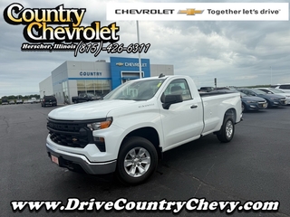 2024 Chevrolet Silverado 1500 for sale in Herscher IL