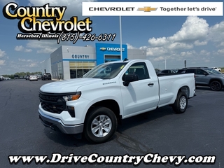 2024 Chevrolet Silverado 1500 for sale in Herscher IL