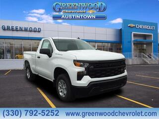 2024 Chevrolet Silverado 1500 for sale in Youngstown OH