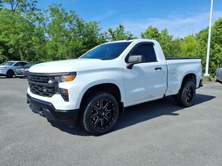2022 Chevrolet Silverado 1500 for sale in Kingsport TN