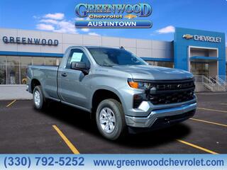 2025 Chevrolet Silverado 1500 for sale in Youngstown OH