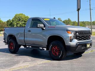 2025 Chevrolet Silverado 1500 for sale in Princeton WV