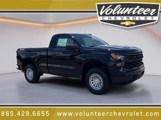 2025 Chevrolet Silverado 1500 for sale in Sevierville TN