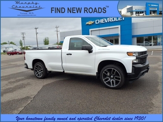 2019 Chevrolet Silverado 1500 for sale in Foley MN