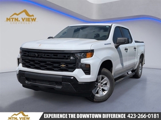 2023 Chevrolet Silverado 1500 for sale in Chattanooga TN