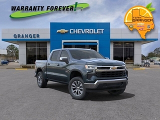 2025 Chevrolet Silverado 1500 for sale in Orange TX