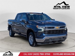 2023 Chevrolet Silverado 1500 for sale in Mcdonald TN