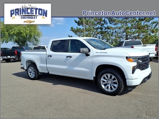 2022 Chevrolet Silverado 1500 for sale in Spartanburg SC