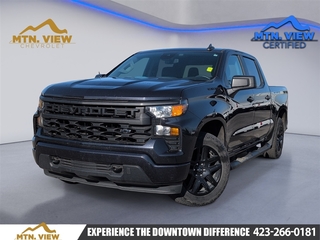 2023 Chevrolet Silverado 1500 for sale in Chattanooga TN