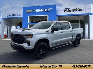 2022 Chevrolet Silverado 1500 for sale in Johnson City TN