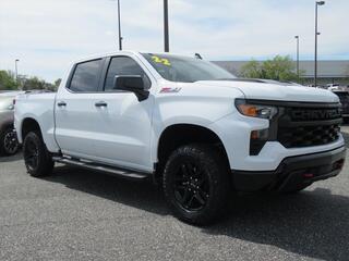 2022 Chevrolet Silverado 1500 for sale in Fruitland Park FL