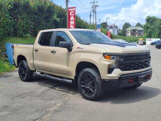 2022 Chevrolet Silverado 1500 for sale in Binghamton NY