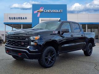 2022 Chevrolet Silverado 1500 for sale in Ann Arbor MI