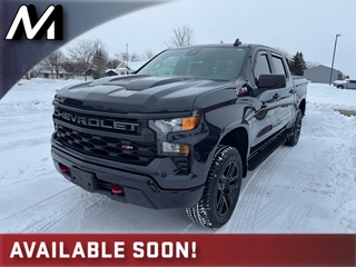 2022 Chevrolet Silverado 1500 for sale in Plymouth WI