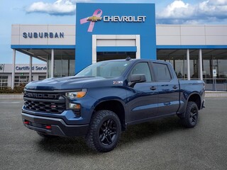 2022 Chevrolet Silverado 1500 for sale in Ann Arbor MI