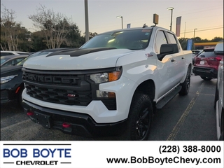 2023 Chevrolet Silverado 1500 for sale in Biloxi MS