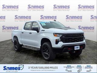 2024 Chevrolet Silverado 1500 for sale in Laredo TX