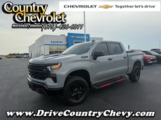 2024 Chevrolet Silverado 1500 for sale in Herscher IL