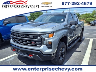 2024 Chevrolet Silverado 1500 for sale in Enterprise AL