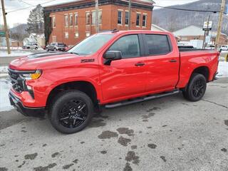 2024 Chevrolet Silverado 1500 for sale in Big Stone Gap VA