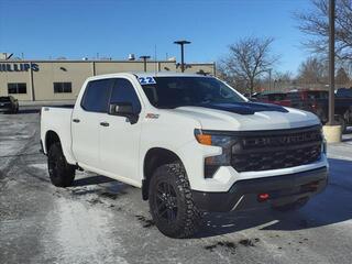 2022 Chevrolet Silverado 1500 for sale in Frankfort IL