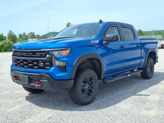 2022 Chevrolet Silverado 1500 for sale in Matteson IL